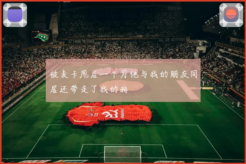 被麦卡甩后一个月他与我的朋友同居还带走了我的狗